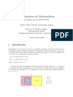 FDM Numreales PDF