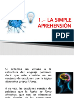 Simple Aprehensión 1