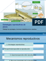 Estrategias reproductivas peces