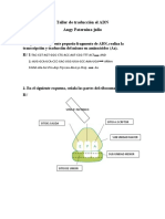 Ttraduccion de ADN