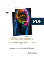 Circunvoluciones Cerebrales PDF