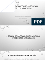 Producción y Organización de Los Negocios