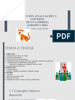 Dirección, Evaluación Y Control: de Una Empresa Agropecuaria