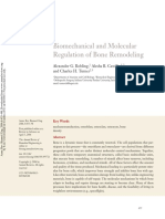 Robling A. Et Al Biomechanical and Molecular Regulation of Bone Remodeling