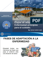 1 Etapas de Adaptacion Ala Enfermedad Principios para El Cuidado PDF