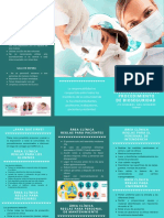 Triptico.pdf