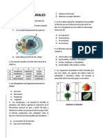 Ciencias Naturales - Grado 5