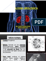 Clase Radiologia Urologica Medicina Ii 22.11.19