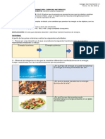 GUÍA Nº 13 ciencias naturales 6ºA