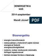 Biok2 Eload Bioenergetika1