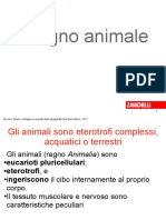 Animali