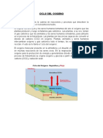 Ciclo Del Oxigeno