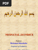 Download Neonatal Jaundice by lordoftheweb SN4738916 doc pdf