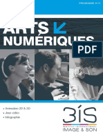 3is Arts Numeriques 2