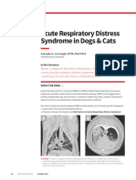 FPTP - Acute Respiratory Distress Syndrome in Dogs & Cats