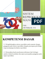 Sistem Reproduksi Manusia