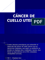 Cáncer cervical: factores de riesgo y lesiones precursoras