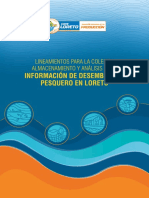 DIREPRO Lineamientos-02 PDF