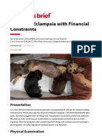 The Case - Eclampsia With Financial Constraints - Clinician's Brief PDF