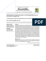 Biosaintifika: Identification of Soybean Resistance To Pod Sucking Bug (