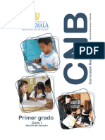 1o grado CNB Nivel de Educación Primaria.pdf