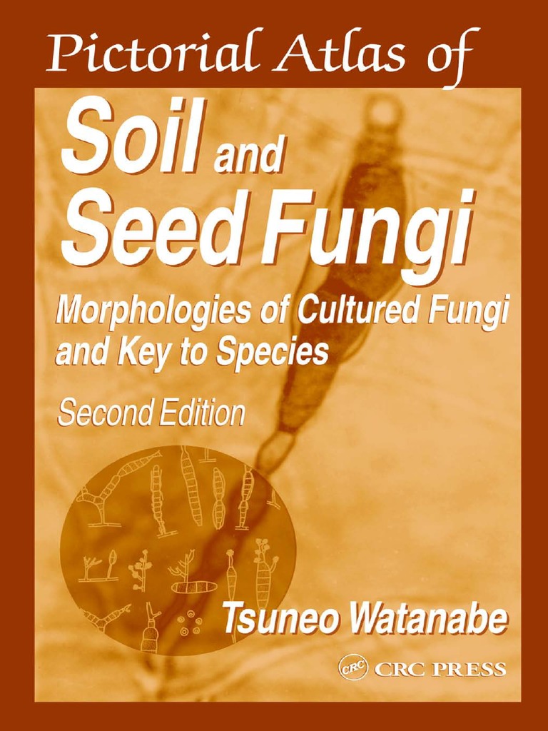 Preview | PDF | Fungus | Plant Pathology