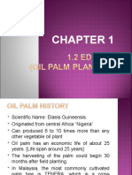 Chapter 1 - Part 2 Oil Palm Plantation