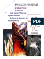 Contaminacionxmetales.pdf