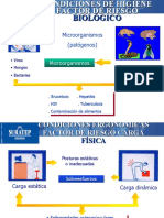 Clasificacion Riesgo Biologico