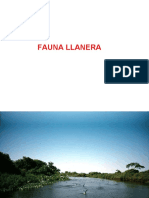 FAUNA LLANERA