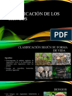 Clasificación de los hongos.pptx