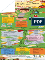 Infografia de Nutricion PDF