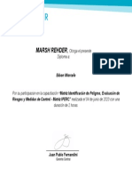 Matriz Iperc - Certificado Edson Marcelo