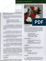 NUTRICION DEL CLAVEL.pdf
