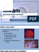 Bioteknologi 110-Stem Cells