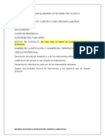 Esquema Básico para Elaborar Un Informe Psicológico