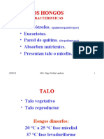 Características y estructuras de los hongos