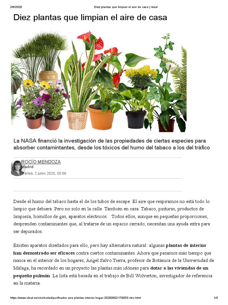 10 Plantas que Purifican el Aire en Casa | PDF | Fumar | Contaminacin