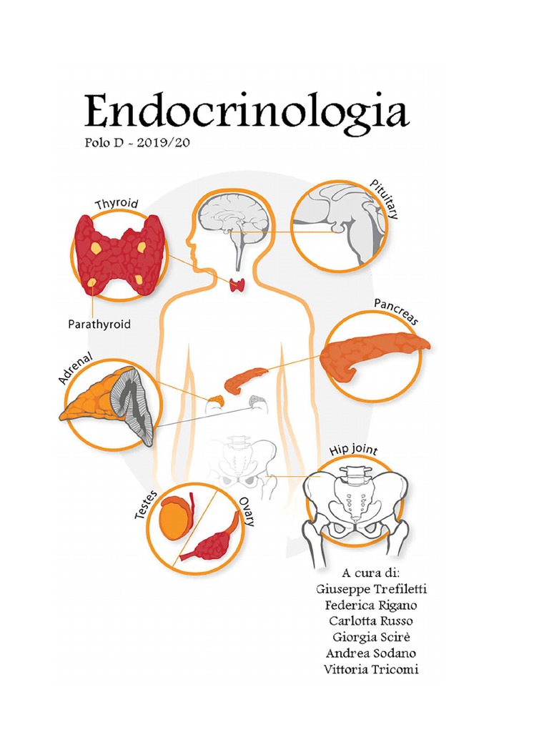 Endocrinologia 2019 Iv D Catania 2019 20