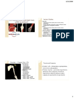 Post Rehab Essentials - Upper Quadrant