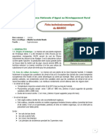 fiche technico-economique du manioc.pdf