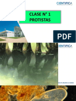 Clase Practica 1 Protista