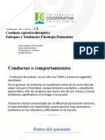 Análisis de caso sobre conductas disruptivas en niños