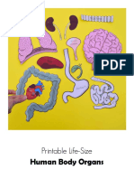 Life Size Printable Human Body Organs PDF