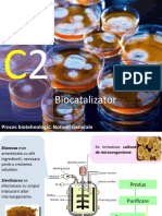 Curs-2-Biocatalizator