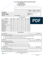 Reporte Boletin Periodo