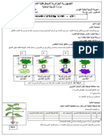 فرض سنة اولى - Copie