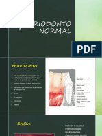 Periodonto Normal