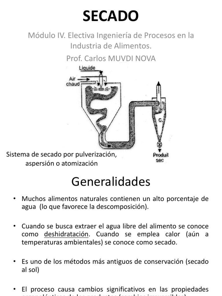 Proceso de Secado en Alimentos | PDF | Humedad | Evaporación