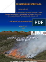 Causas de Los Incendios Forestales